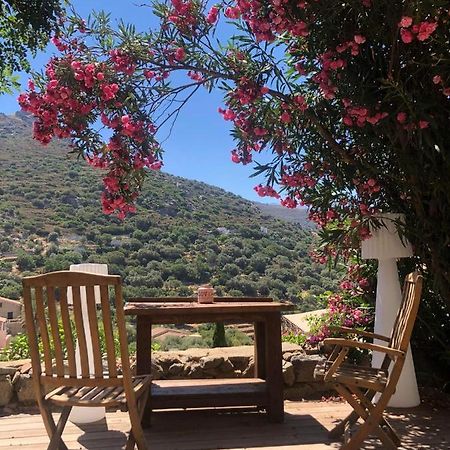 The Cosy Home Corbara By 1722 Bagian luar foto
