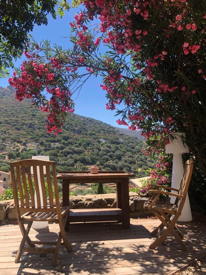 The Cosy Home Corbara By 1722 Bagian luar foto